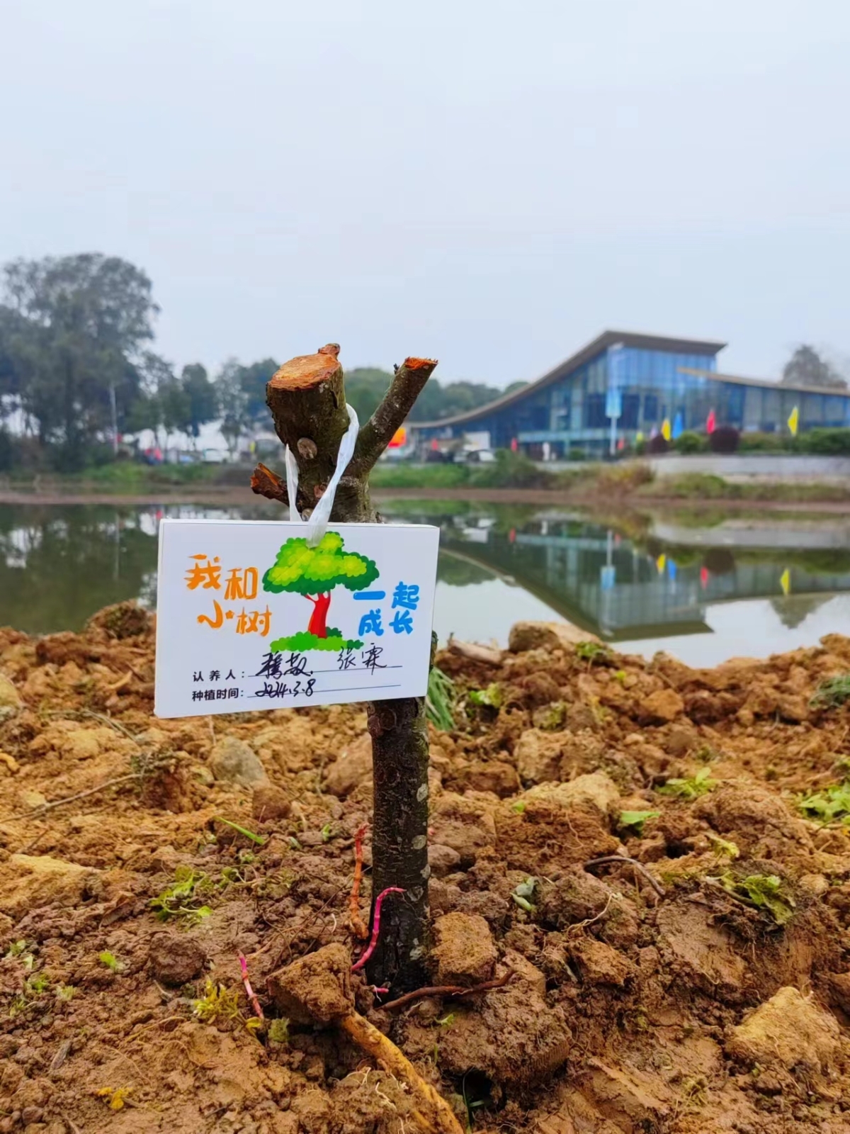 微信图片_20240308154013